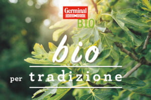 Germinal : we are at the 2017 MAB Youth Forum Unesco